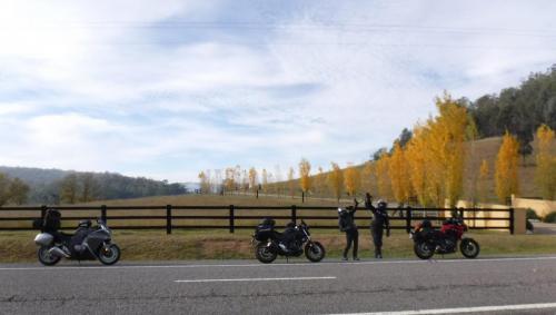 The Putty Rd NSW