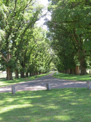 Gostwyck Chapel Uralla. Oak trees line the street